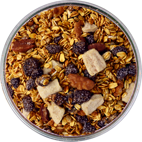 Granola met gedroogde banaan en rumrozijnen